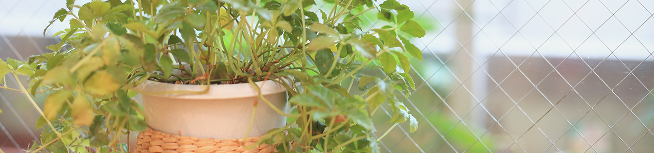 トレーニングジム（女性）