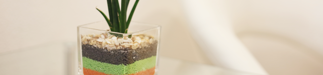 トレーニングジム（女性）